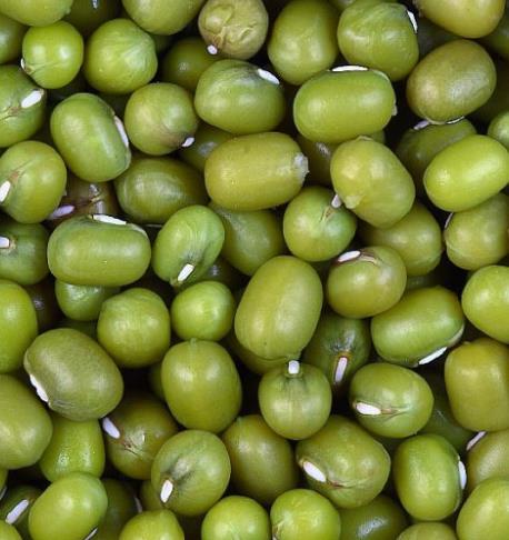 Green Mung Bean (Masho)